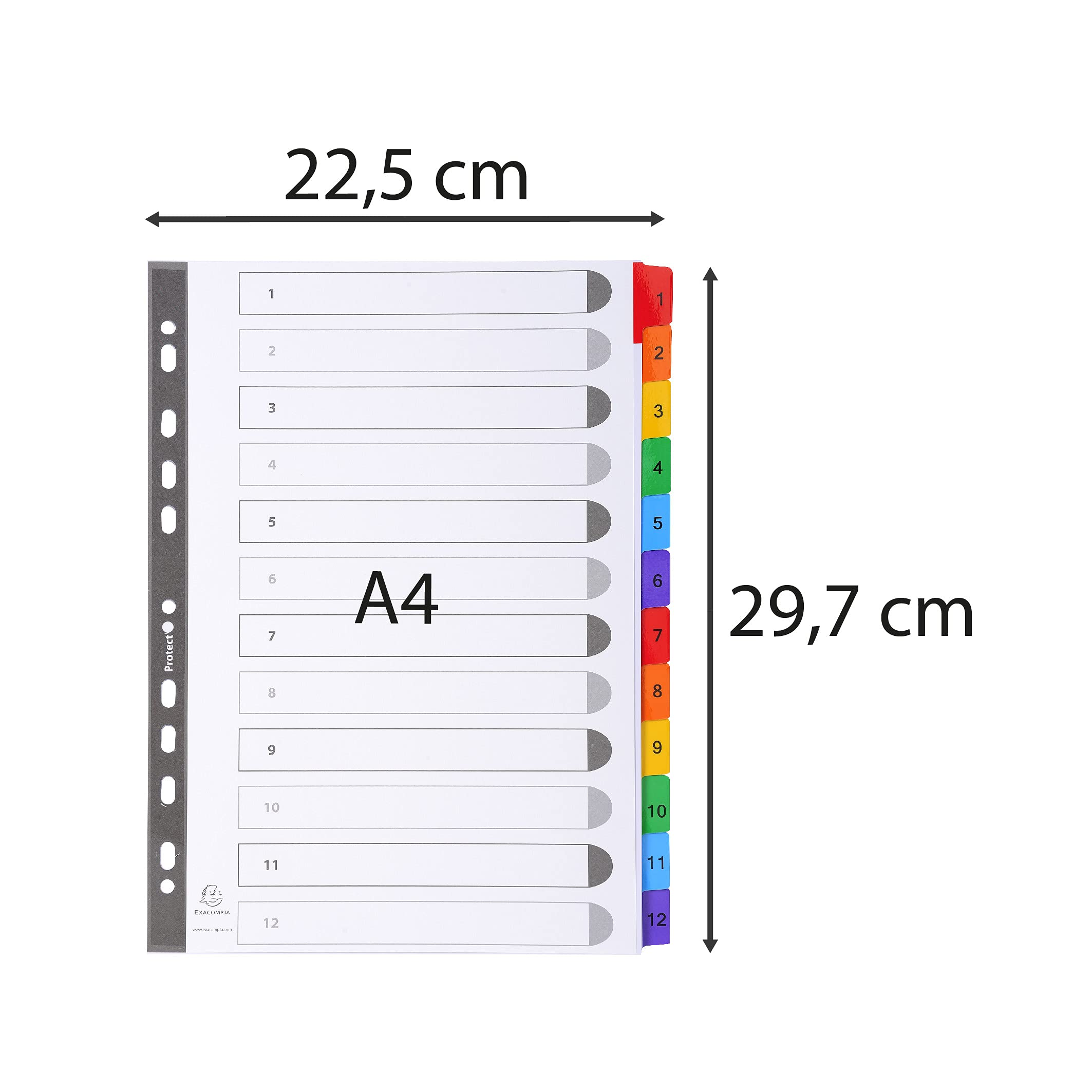 Exacompta - Ref. 1112E – Karton mit 20 Registern aus weißem Karton, 160 g/m², FSC® mit 12 digital bedruckten Registern von 1 bis 12 Farben, Indexseite bedruckbar, für DIN A4, Maße: 22,5 x 29,7 cm