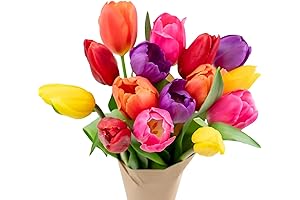 Farm Fresh Tulipz-Vibrant Fresh Cut Flower & Plant -Delivered Overnight