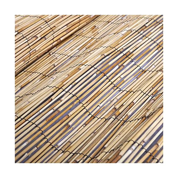 Catherinol Garten-Schilfzaun, Sichtschutzzaun, Windschutz Sichtschutzmatte, Garten Balkon Terrasse, 125x1000 cm – Bild 6
