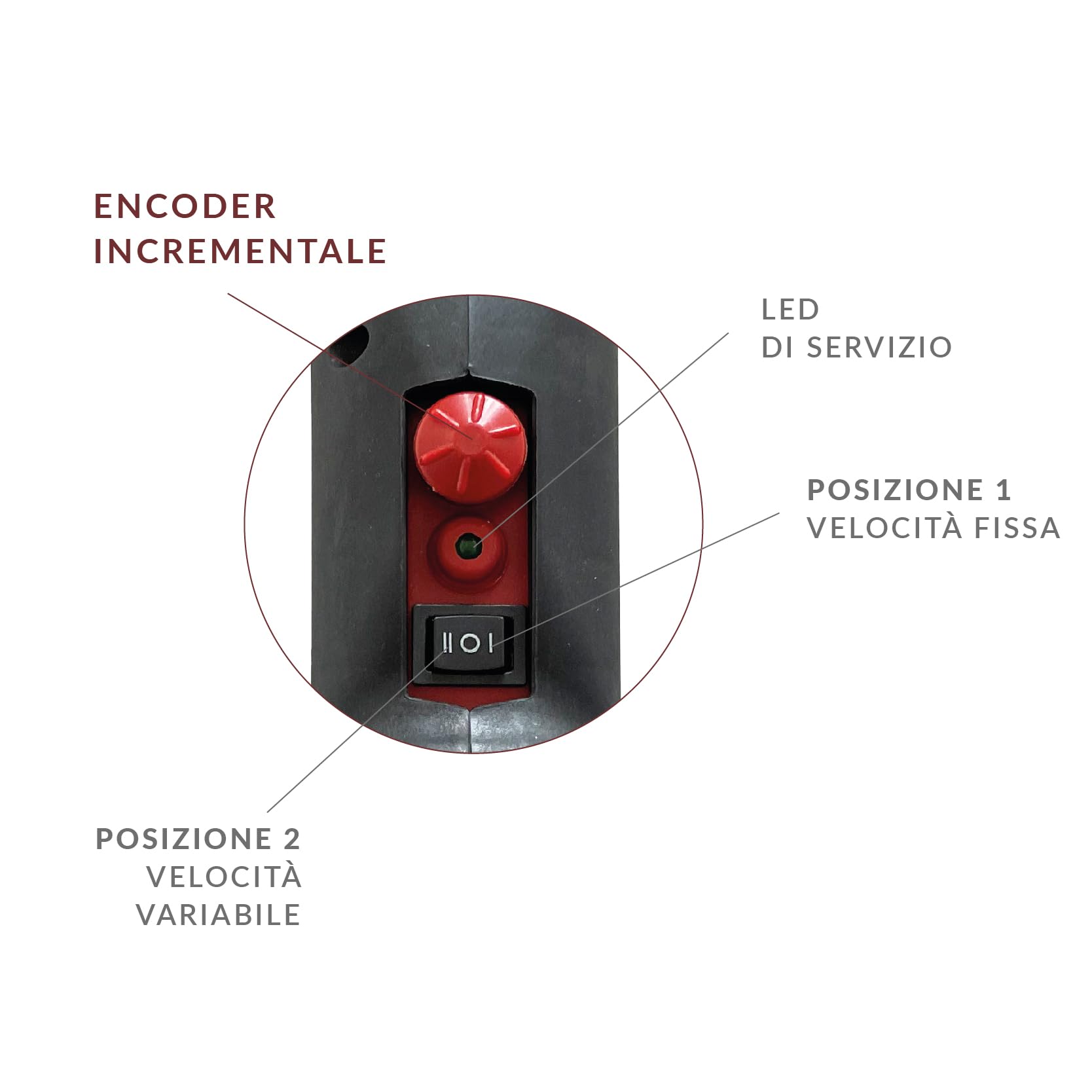 Aima Tandem Abbacchiatore Elettrico per Olive, 12V, 700W, Asta Telescopica 185-275 cm, Doppio Pettine, Con 2 Batterie 21V 5,2 AH incluse