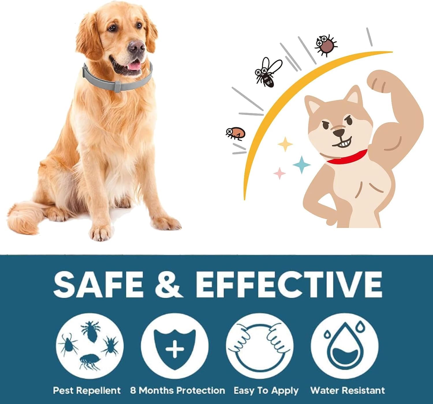PUJI Dog Belt, Flea and Tick Prevention Collar, 6 Month Protection, Allergy-Free, Water-Resistant Design for Dogs 3