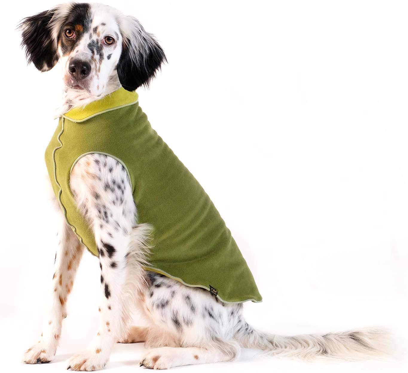 Gold Paw Duluth Double Fleece Dog Coat Pullover ââ‚¬â€œ Soft, Warm Dog Clothes, 4-Way Stretch Pet Sweater ââ‚¬â€œ Machine Washable, All-Season, Moss/Avocado, Size 8