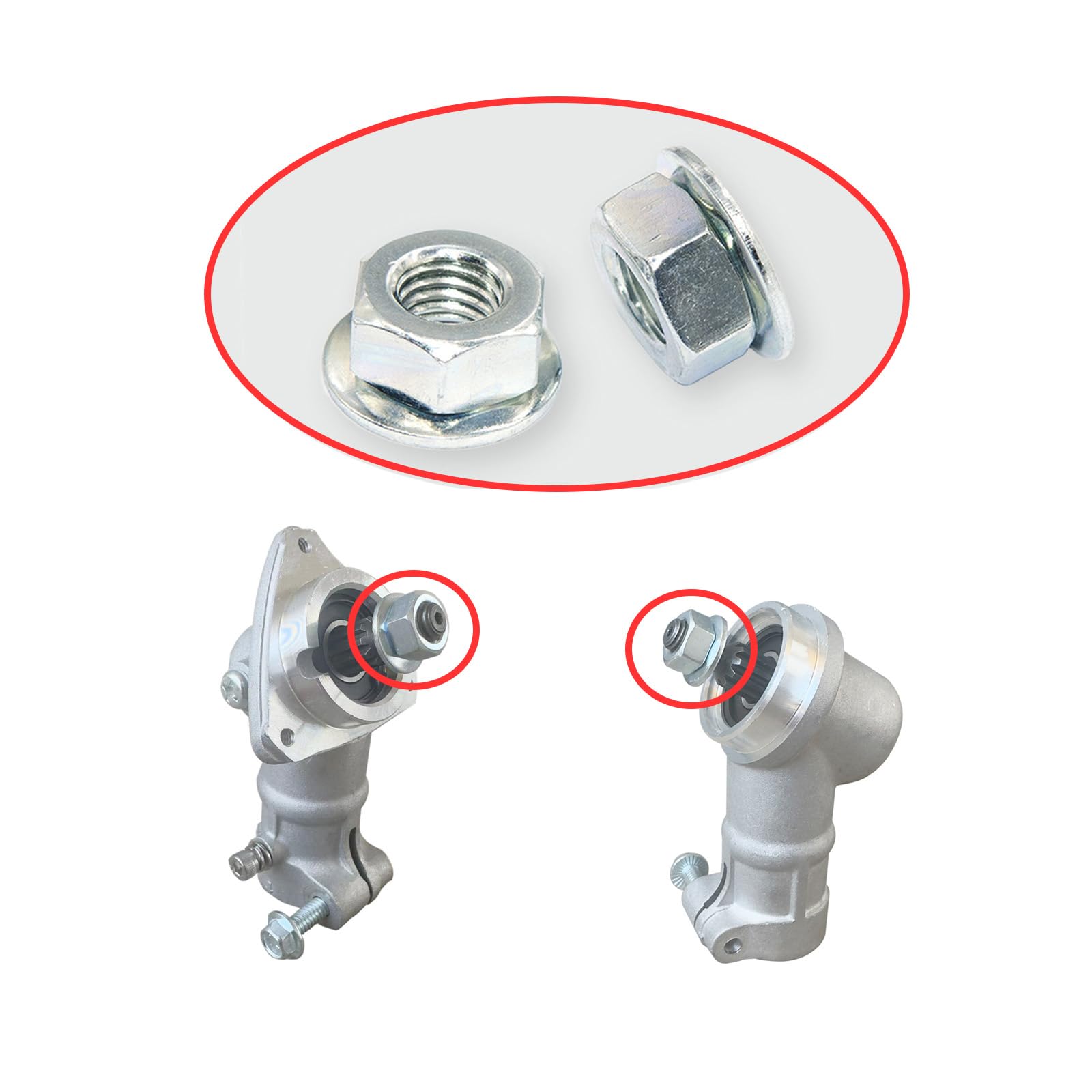 Lisa　1204040 Amazon.com: SD-CityCliq Replacement Parts,6 pcs Blade Nut