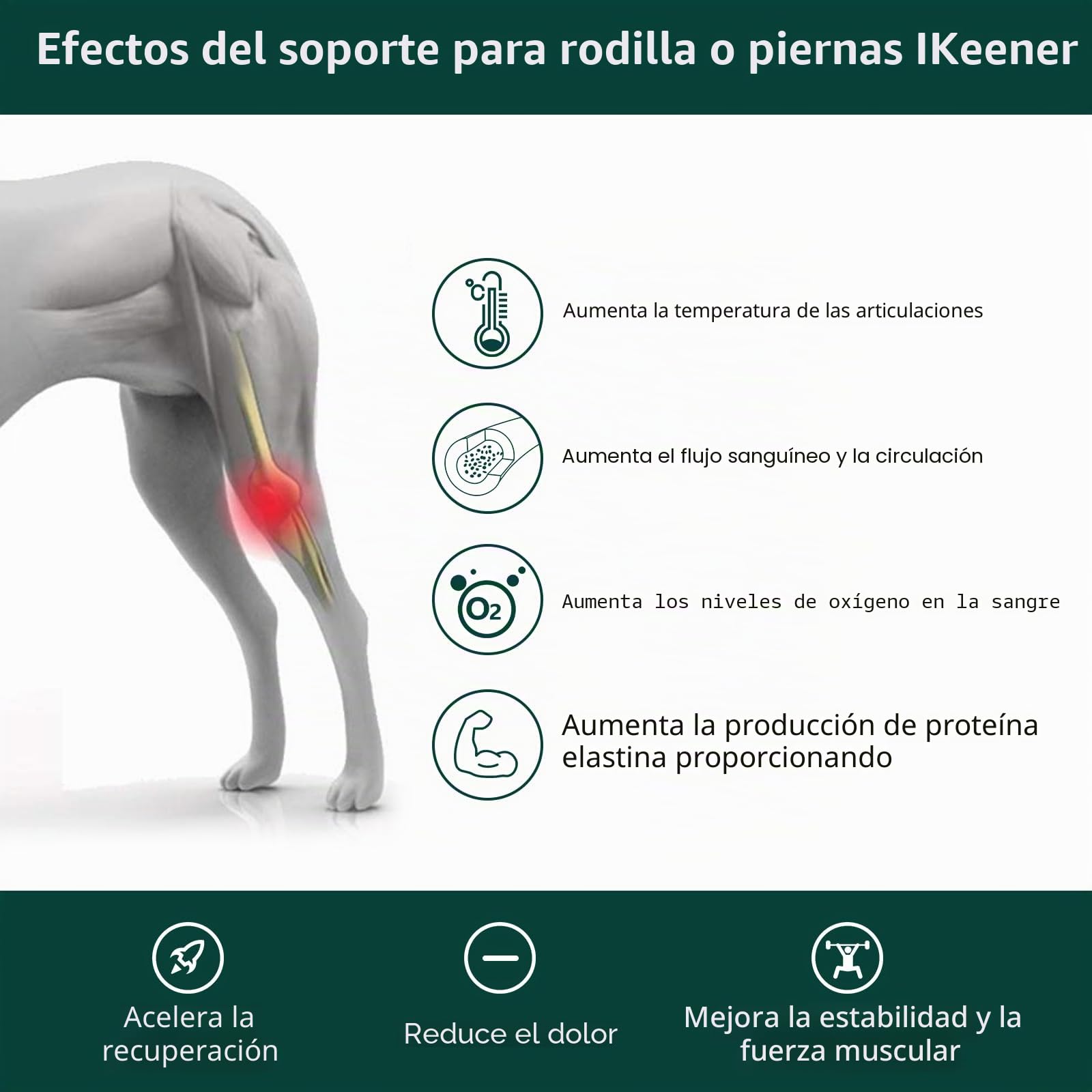 iKeener Dispositivo de terapia para mascotas/veterinarios, (4 x 808 nm), terapia láser fría, alivia el dolor muscular y articular de animales, dispositivo de terapia portátil con luz roja para
