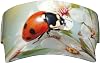 Sport Sun Visor Hats Adjustable Empty Top Baseball Cap Butterfly Ladybug Flower Sun Caps for Men Women Black