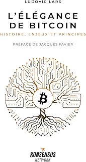 L’Élégance de Bitcoin: Histoire, enjeux et principes