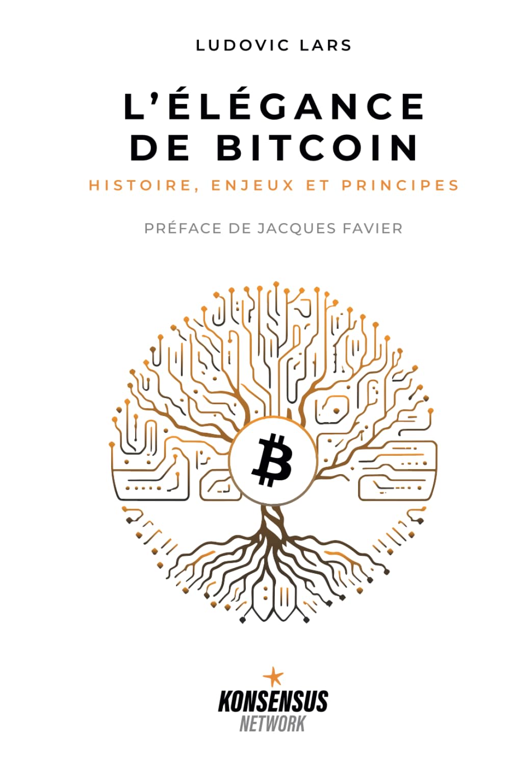 L’Élégance de Bitcoin: Histoire, enjeux et principes