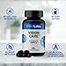 Vison Care Plus - Complete Dietary Supplement for Your Vision- Lutein 20mg, Zeaxanthin, Vitamin A, Bilberry Extract - 90 Softgels by CGM Labs