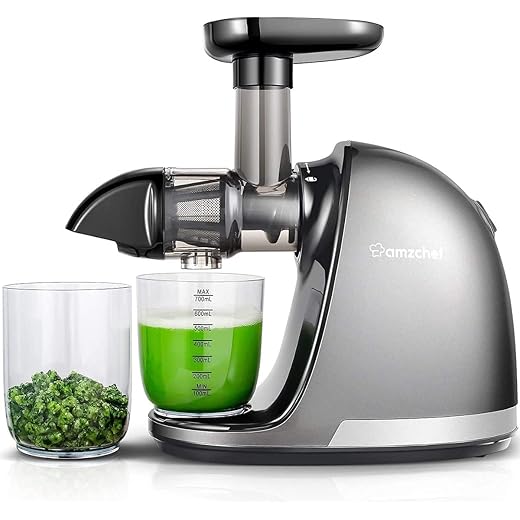 AMZCHEF Cold Press Masticating Juicer Machine