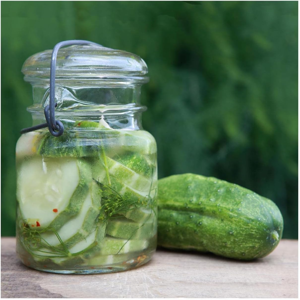 Everwilde Farms - 1 Lb Wisconsin Cucumber Seeds - Gold Vault
