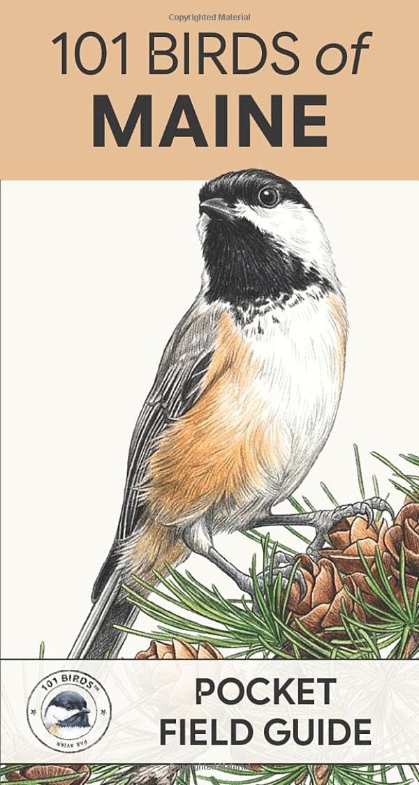 101 Birds of Maine: Pocket Field Guide (101 Birds Pocket Field Guides)
