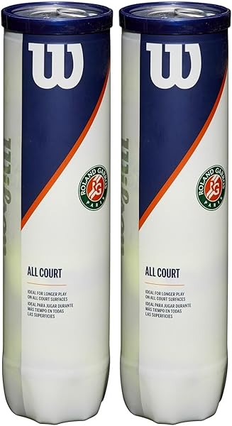 Wilson Roland Garros Palline da Tennis Ufficiali