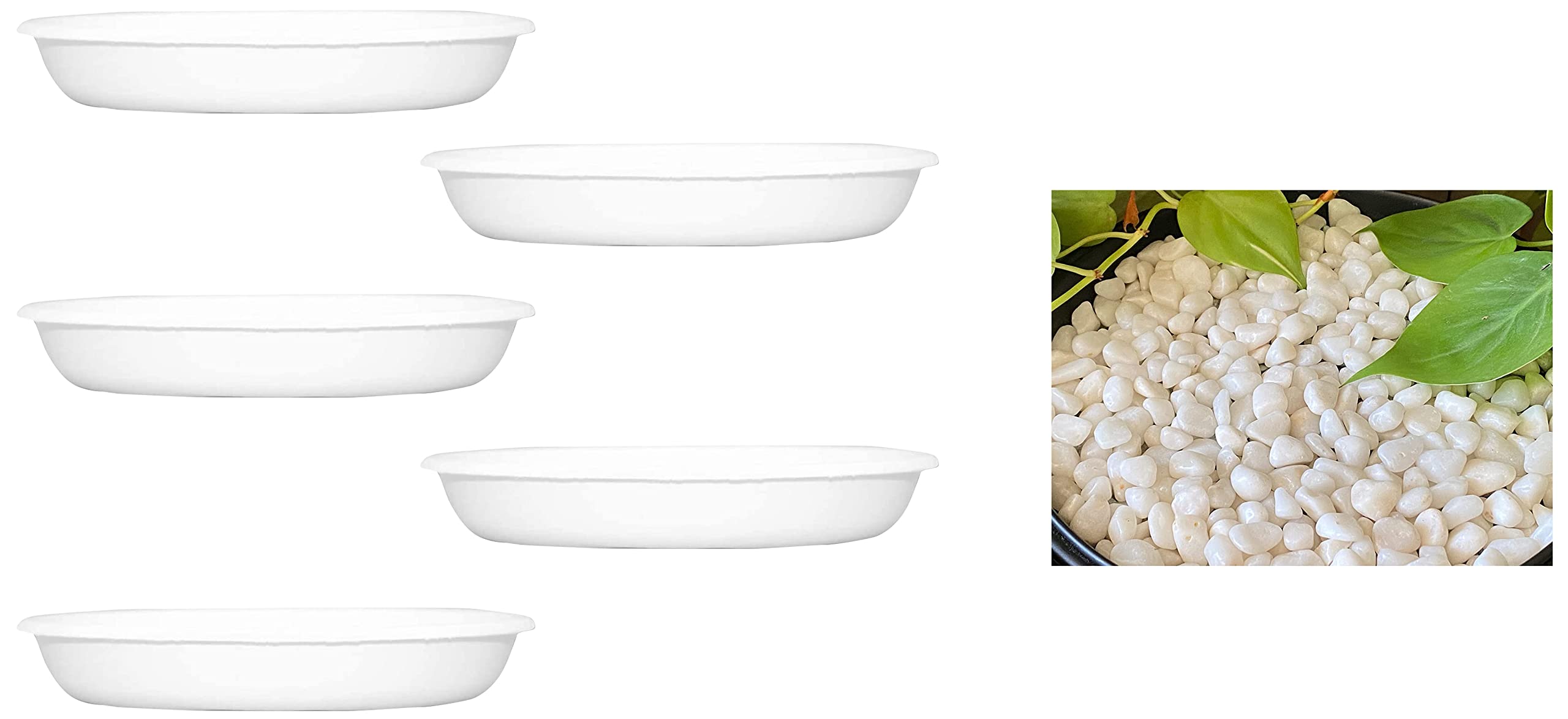 Leafy Tales Bottom Plate/Dripping Tray for Pots| (8-inch, White, Pack of 5) White Polished Marble Stone Pebbles 500 GMS Black Polished Marble Stone Pebbles 500 GMS (B0BC27KS1P) Amazon Price History, Amazon Price Tracker