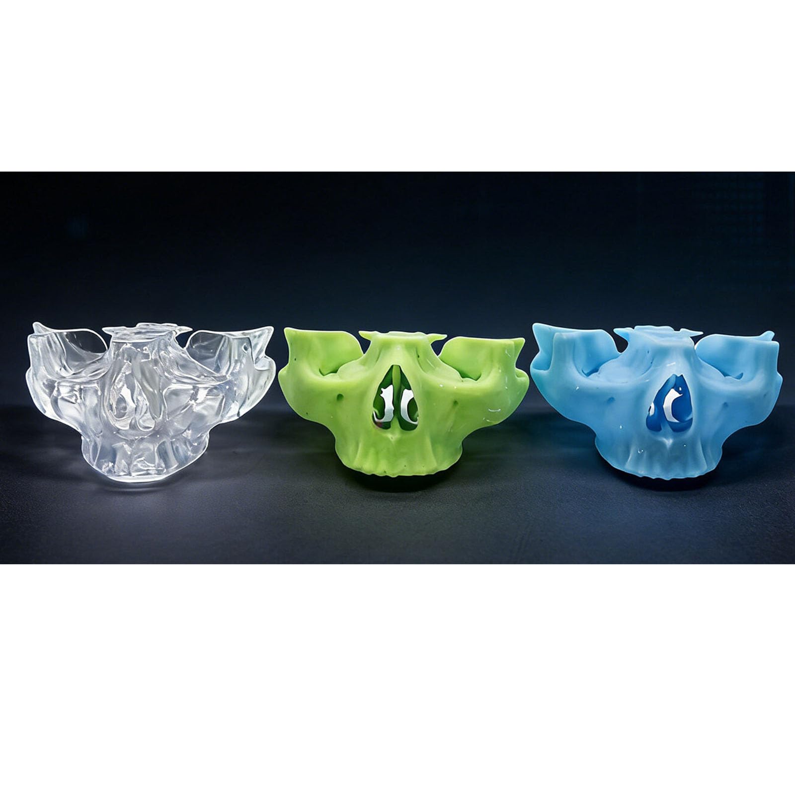 Modello di Pratica per Impianti Dentali Modello di Pratica di Perforazione dello Zigomo e del Pterigoide per Studenti e Professionisti,Blu,12cm