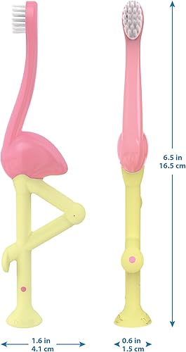 Vista 52 de Dr. Brown's Otter - Cepillo de dientes para niños pequeños, cerdas suaves con ventosa para almacenamiento, sin BPA, edades de 1 a 4 años, paquete