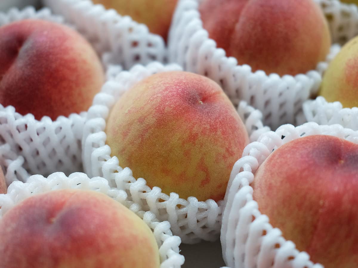 Amazon.co.jp: 大阪府産 かねちか （包近） 桃 秀品 12〜15玉入り 約