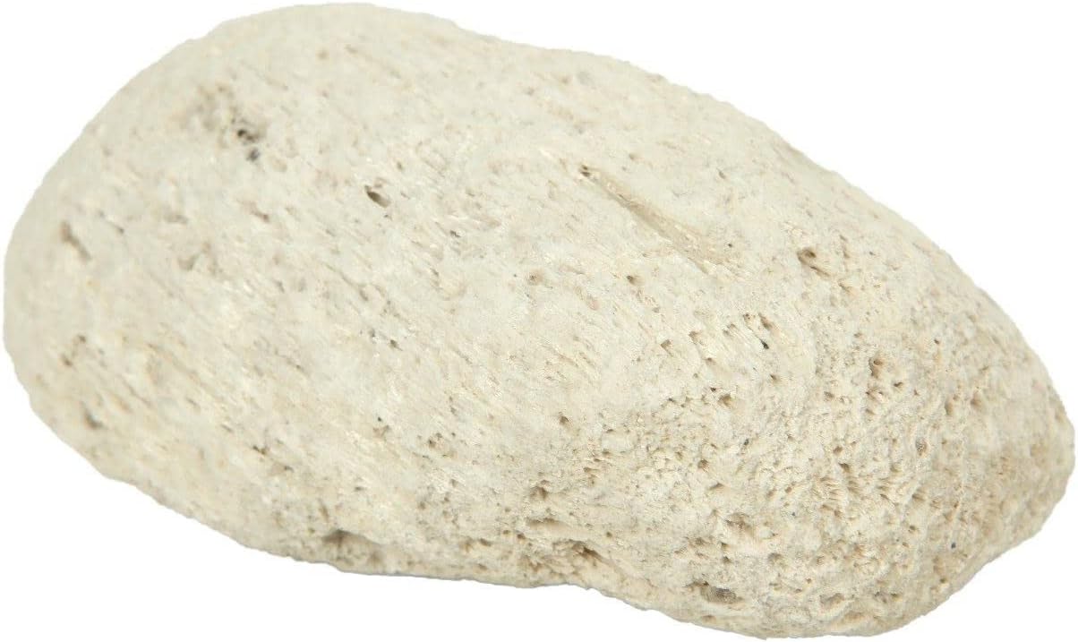 General Healthcare Natural Pumice Stone Foot Scrubber (1 Stone)