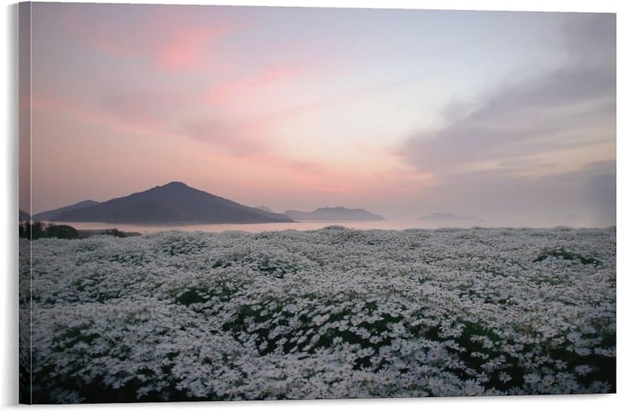 油絵 絵画 【マーガレット畑】