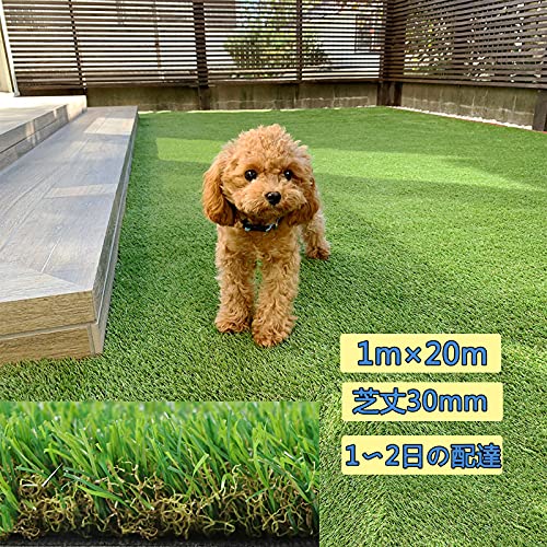 lH lHŐ lŐ lŁylH1m×20m ŏ 3cmz A lHŃ[ x1.9{ _ȑlH HŃ}bg O lH [ lH ŐlH Ő ϋv h r Gh~ ӂӂȎƖ{̂悤ȐGSn (