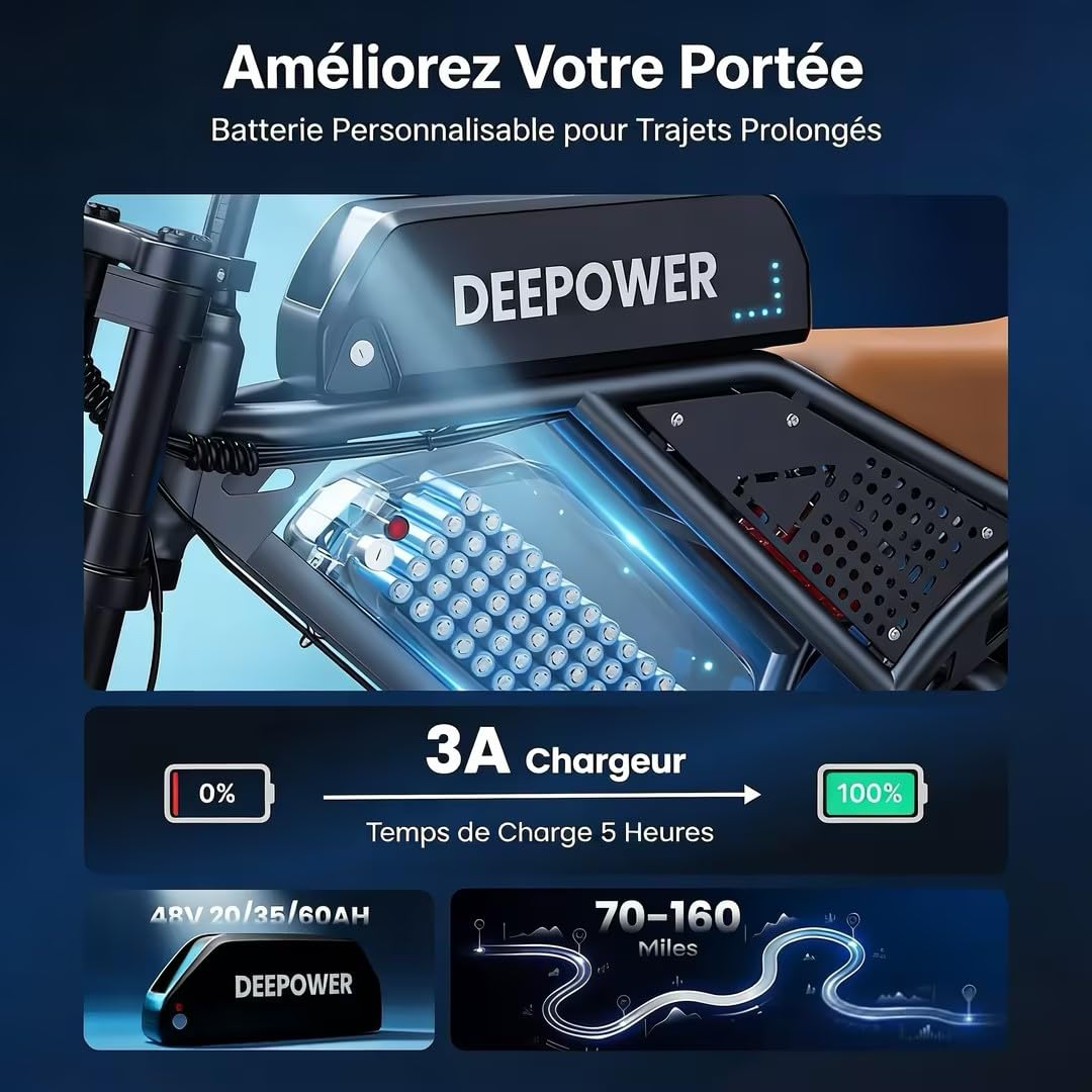 DEEPOWER QS7 Vélo Électrique, Batterie Amovible 48V 60Ah/35Ah/20Ah, Autonomie 110-250KM, Moteur 120 N·m, Pneu Gras 20'' X 4.0, 7 Vitesses, Suspension Hydraulique Complète