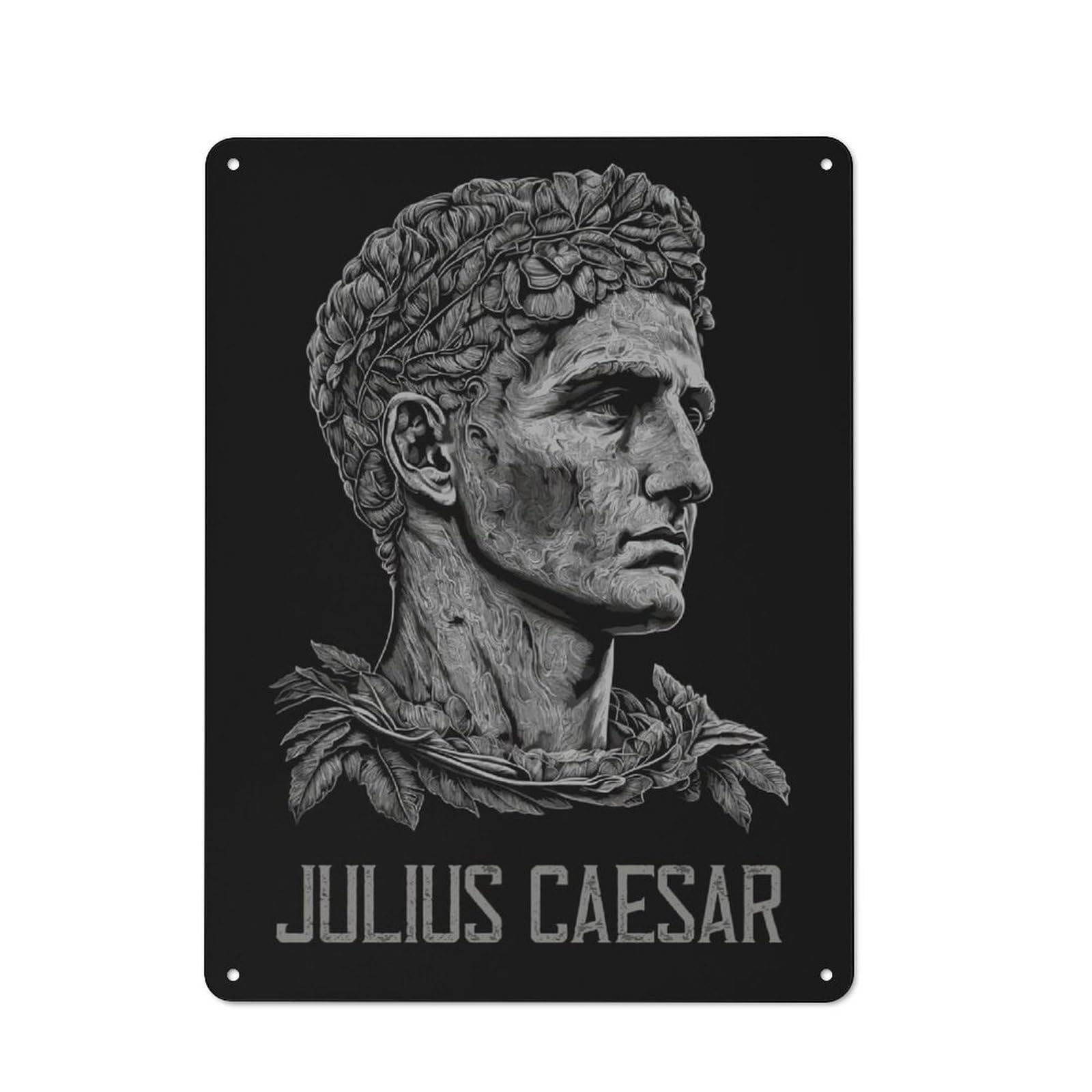 Junmoney Julius Caesar Retro Printed Metal Sign 40X30cm For Living Room Wall, Wall Decor For People Reorganising Living Room