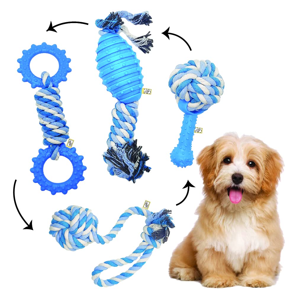 EVOHOME The Ultimate Dog Chew Toy 4-in-1 Combo | Indestructible & Heavy Duty for Aggressive Chewers | Built to Last | Durable, Safe, Non-Toxic | Great for Large, Medium, and Small Breeds (B09ZBFHPWM) Amazon Price History, Amazon Price Tracker