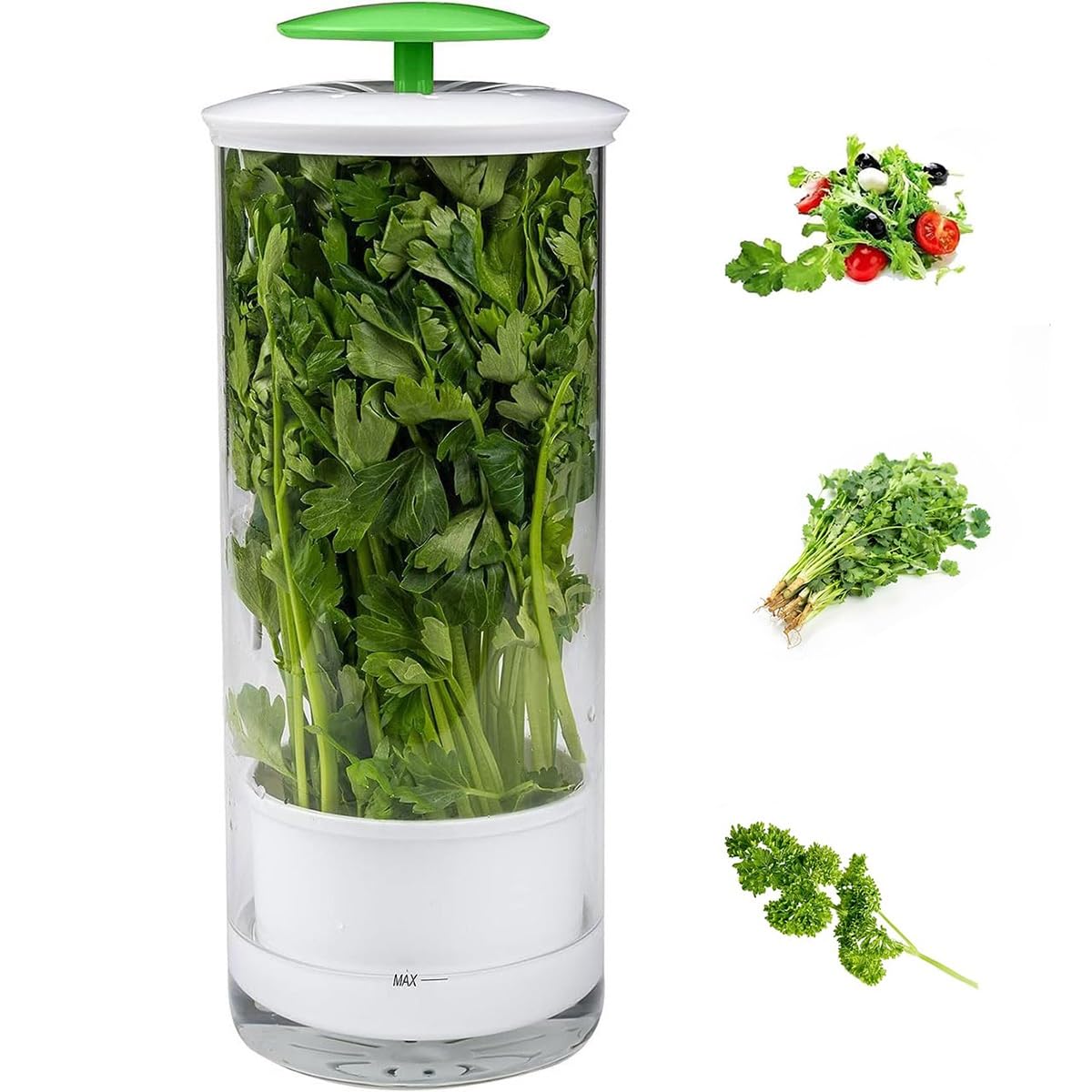 Herb Storage Saver, Clear Refrigerator Herb Saver, Fresh Herb Keeper, Keeps Vegetables for 2-3 Weeks Breathable Plastic Herb Preserver Container Keep Fresh for Asparagus Coriander Mint Cilantro
