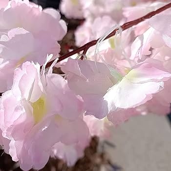 【昔の手彫職人製作】　木型「桜花」　6個取り 昔の手彫職人製作】 木型「桜花」 6個取り