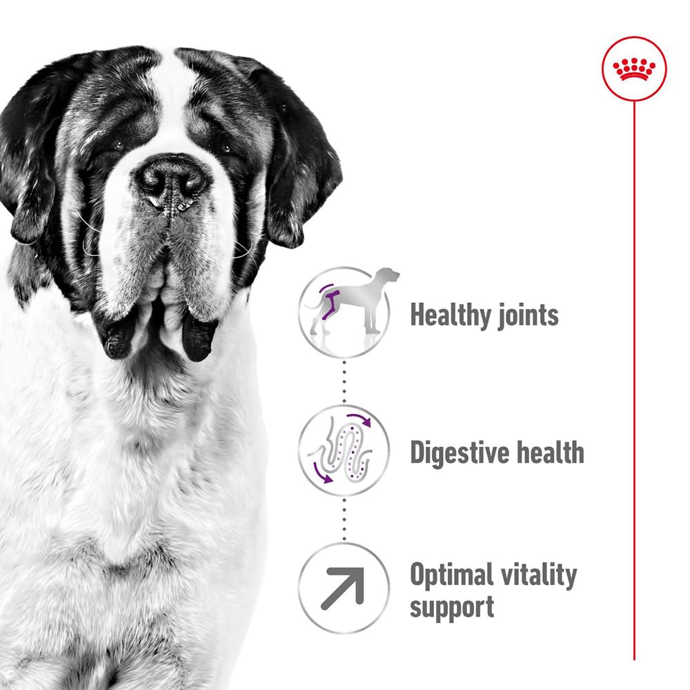 Royal Canin Giant Adult Karma dla Psa, 15 kg