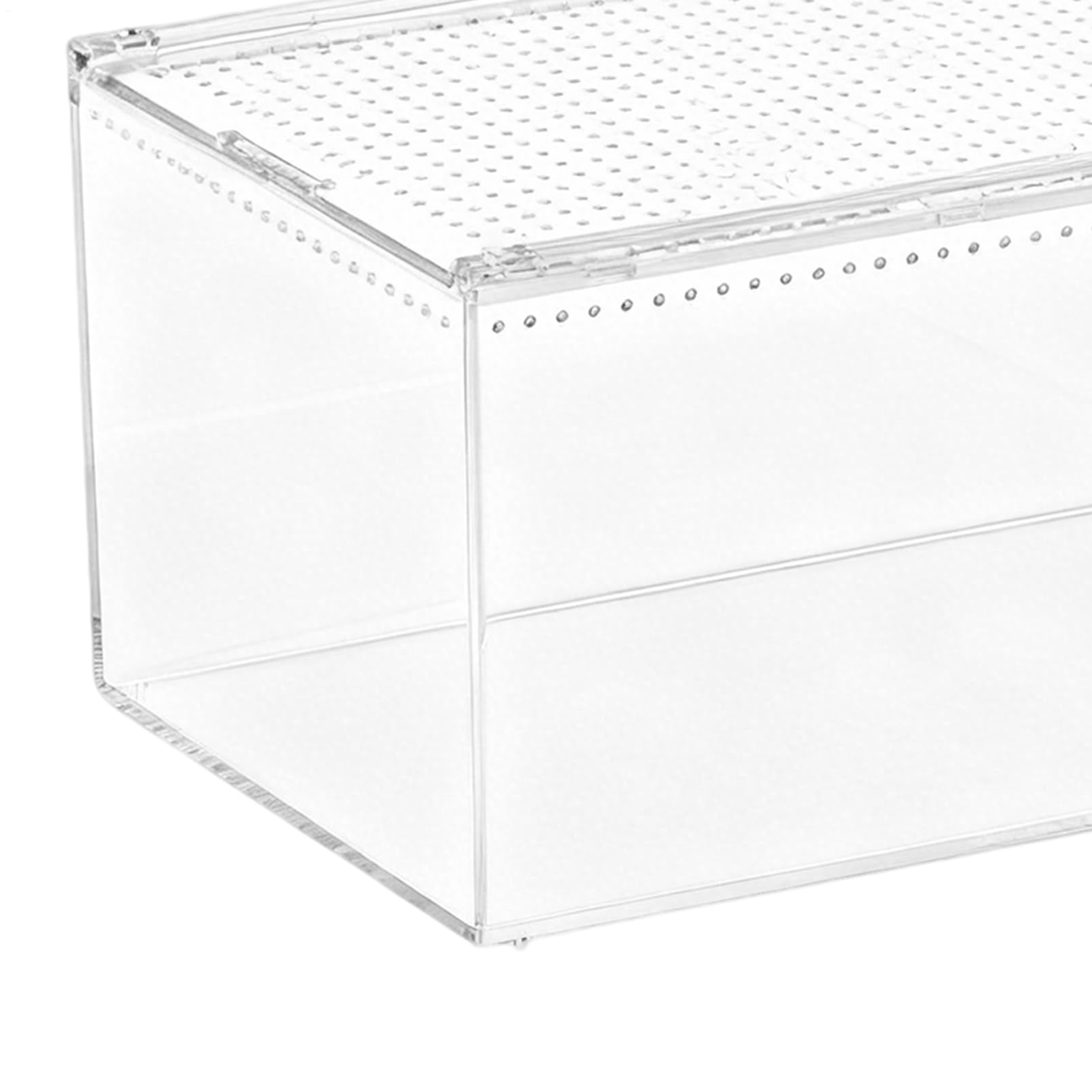 Terrarium Dla Pająków Akrylowe Terrarium Odporne Na Ucieczkę Dla Gadów | Terrarium Dla Tarantuli I Pająków Skaczących Do Wnętrz Na Biurko W Domu I Biurze Dla Płazów Jaszczurek