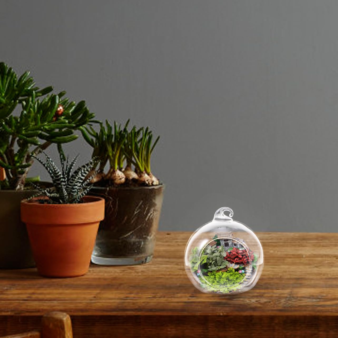 Supvox 12 Stück Hänge Terrarium aus Glas Kreative Kugelförmige Pflanzgefäße mit Glatter Oberfläche zum Dekorieren und Aufhängen für Moos und Mikro Landschaften
