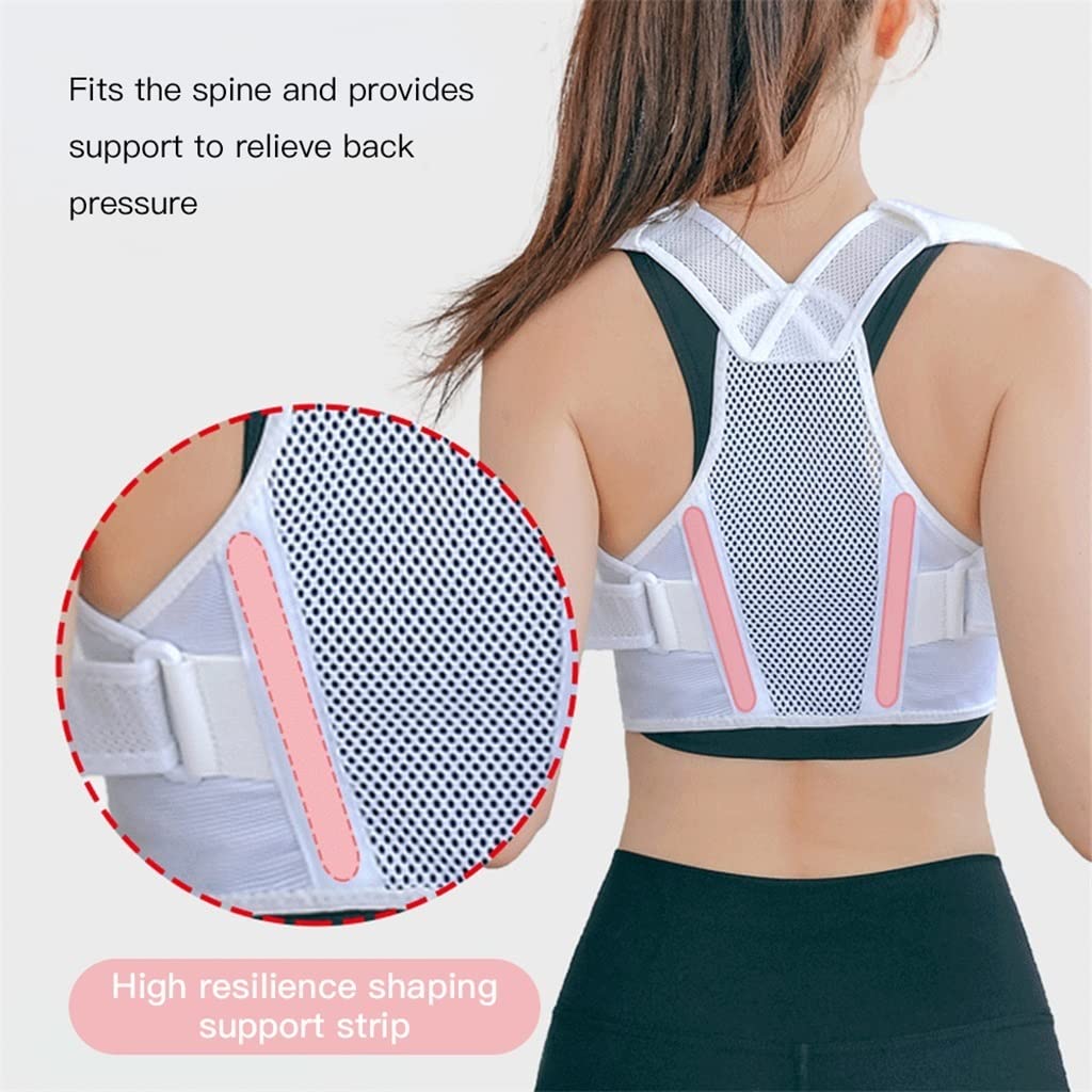 Cinturón Corrector de Espalda, Faja Lumbar Ligera y Transpirable para Hombres y Mujeres.