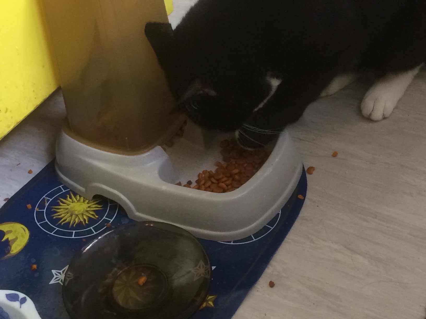 PetSafe Microchip Activated Cat Flap, Exclusive Entry, Easy Install, 4