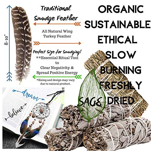 Smudge Kit Spiritual Native 12 Healing Gifts Set, Smudging Kit, Dream Catcher Home Blessing Sage Kit, Abalone, White & Blue Sage Bundles, Incense Burning Kit, Smudge Feather, Cleansing Ritual