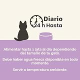 Ver la foto 3