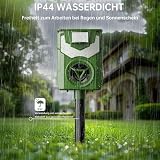 Katzenschreck, Maulwurf Vertreiber, Solar Katzenschreck für Garten, Tiervertreiber mit Flammenlicht, IP44 Wasserdicht Marderschreck Wirksam gegen Katzen, Hunde, Vögel, Füchse, Ratten, Marder, Mäuse