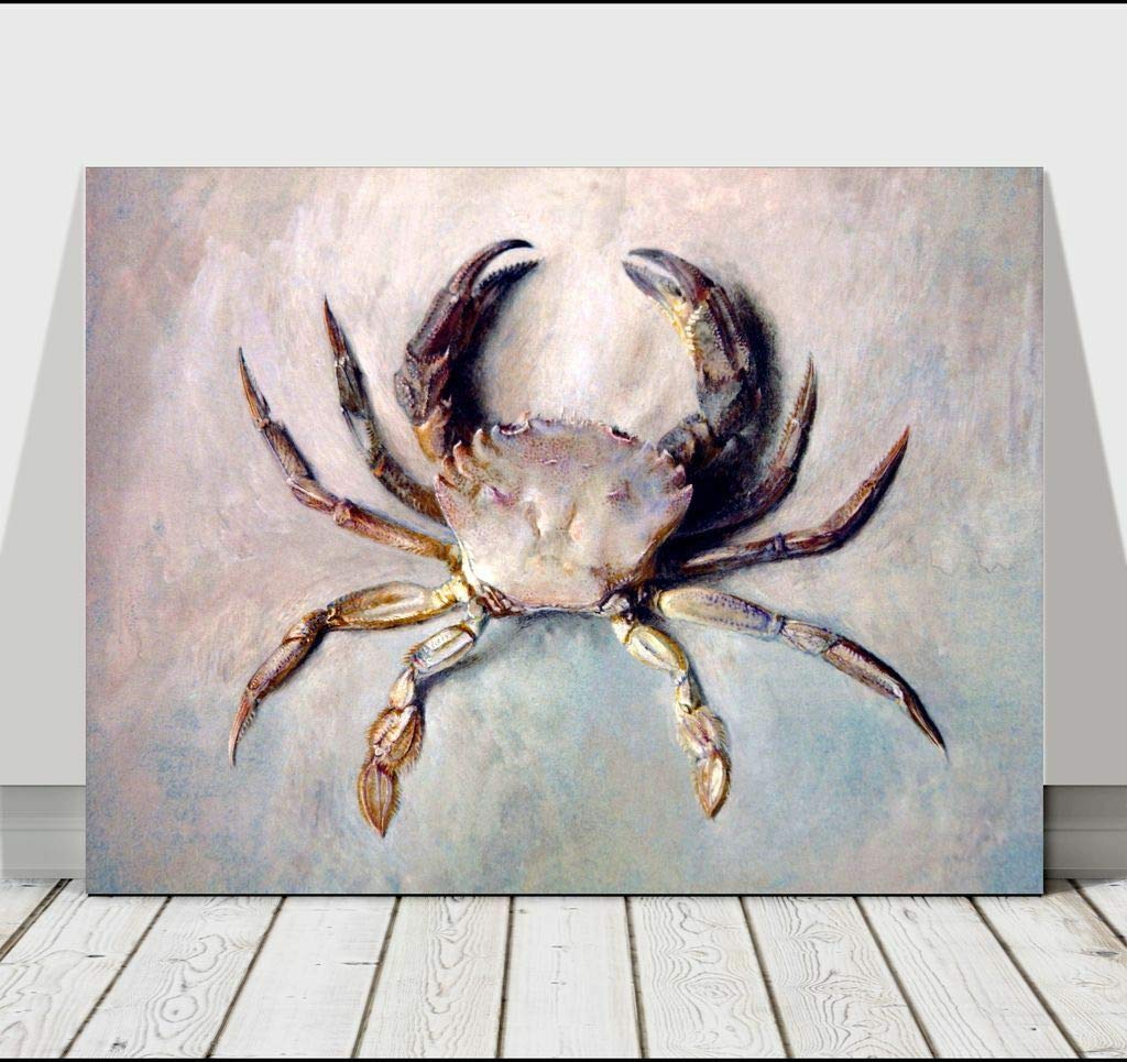 JOHN RUSKIN - Beautiful Crab Illustration - CANVAS ART PRINT POSTER -" Paintings Oil Painting Original Drawing Photo Wall Animals Animal (8x10inch NO Framed)