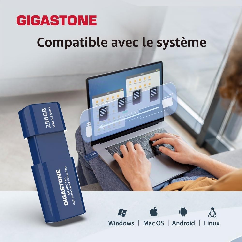 GIGASTONE Z80 Clé USB 3.2 Gen2 256 Go, R/W 1000/800 Mo/s HPC Calcul Haute Performance, Rétractable sans Capuchon Conception, Compatible avec Interface USB 2.0 / USB 3.0 / USB 3.1