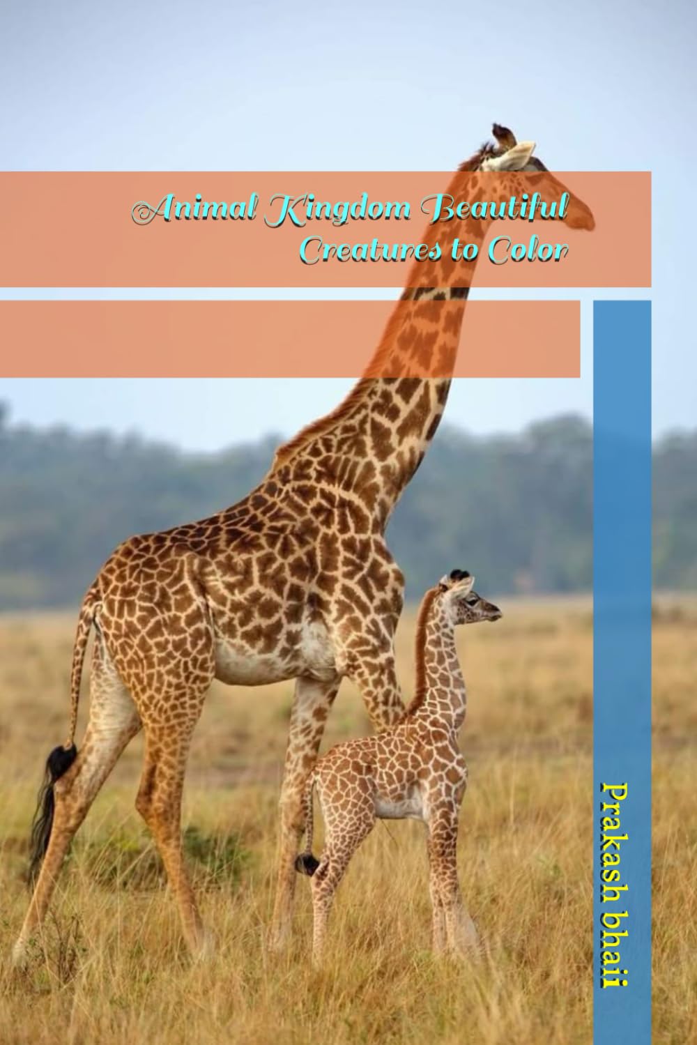 Animal Kingdom Beautiful Creatures to Color