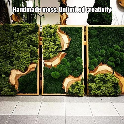 Nahuaa 2.15 Sq.ft Preserved Moss Bulk, Green Moss For Potted Plants, Preserved Pole Moss Pillow For Wall Art Floral Project Pot Plants Easter Table Decor #TOP4