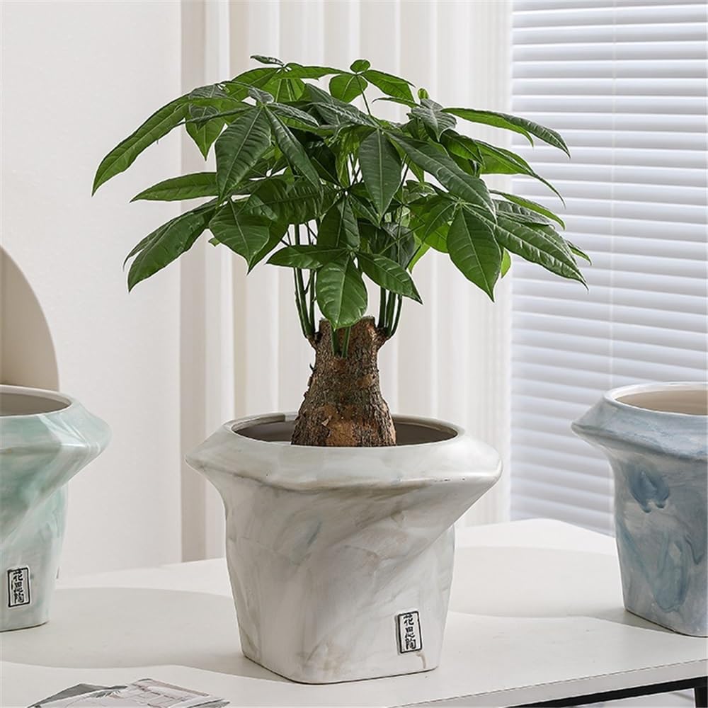 doniczki Ręcznie szczypta kreatywny kształt doniczka do salonu wewnętrzna zieleń orchidea ceramiczna doniczka doniczki ceramiczne