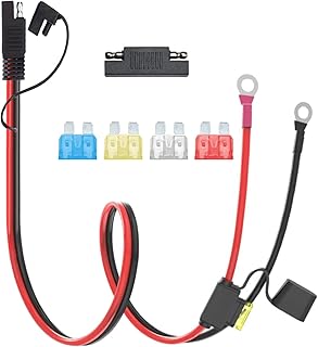 OUQYLG SAE Battery Charging Cable 10AWG SAE to O Ring Terminal Connectors Harness Wire, 2-Pin Quick Disconnect SAE Cord with 10A 15A 20A 25A Protection Fuse with 1 SAE Polarity Reverse Connector