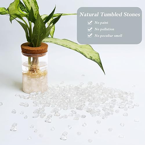 Miniatura 9 de QICQDRAM Chips de cristal de amatista de 1 libra a granel + chips de cristal de cuarzo transparente de 1 libra a granel (0.27 a 0.35 pulgadas)