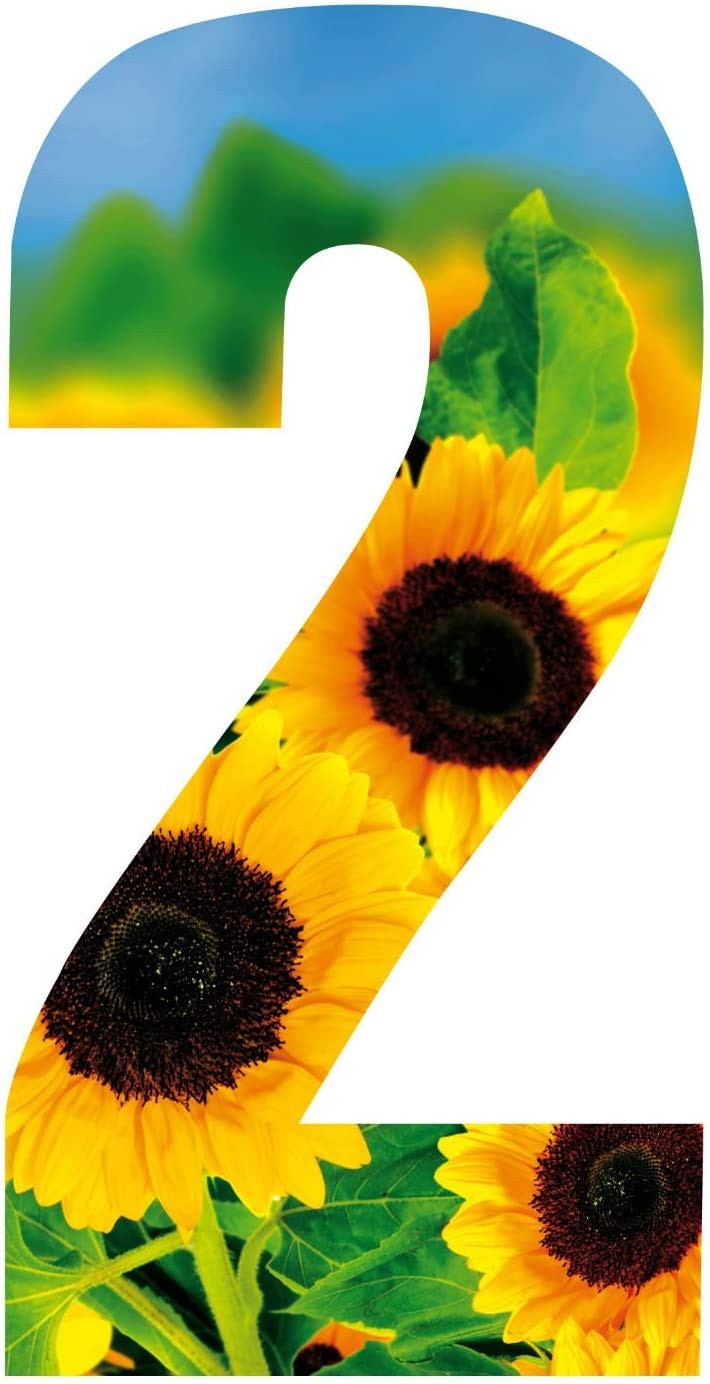 MONOGRAM Classic Signs x3 Wheelie Bin Number Sunflower 2
