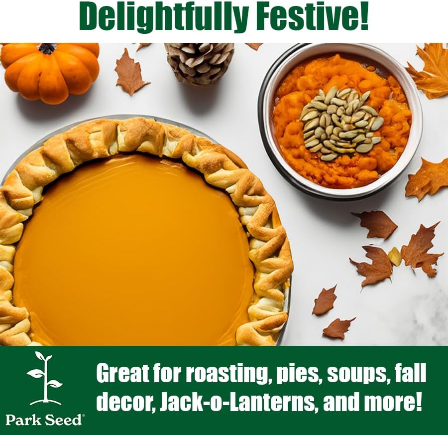 Miniatura 3 de Park Seed Jarrahdale - Semillas de calabaza  Calabazas para hornear azul y verde sin OMG de Nueva Zelanda, rica carne dulce para pasteles y