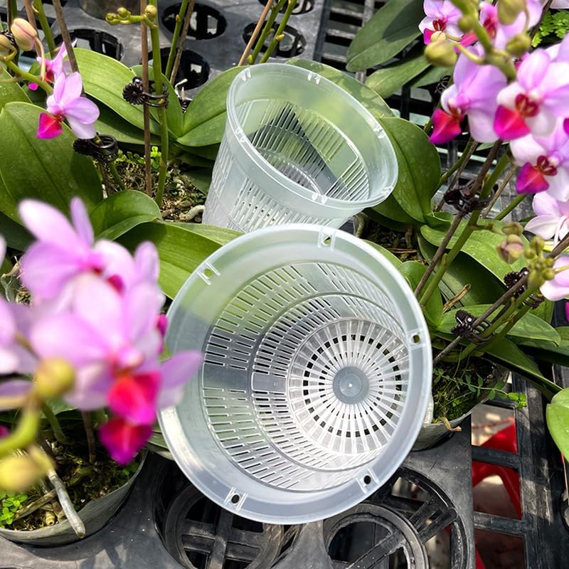 Miniatura 6 de CLoxks Macetas de orquídeas para trasplantar, 9 macetas de orquídeas transparentes con agujeros, 3 tamaños, 6.3 pulgadas, 5.5 pulgadas y 4.3