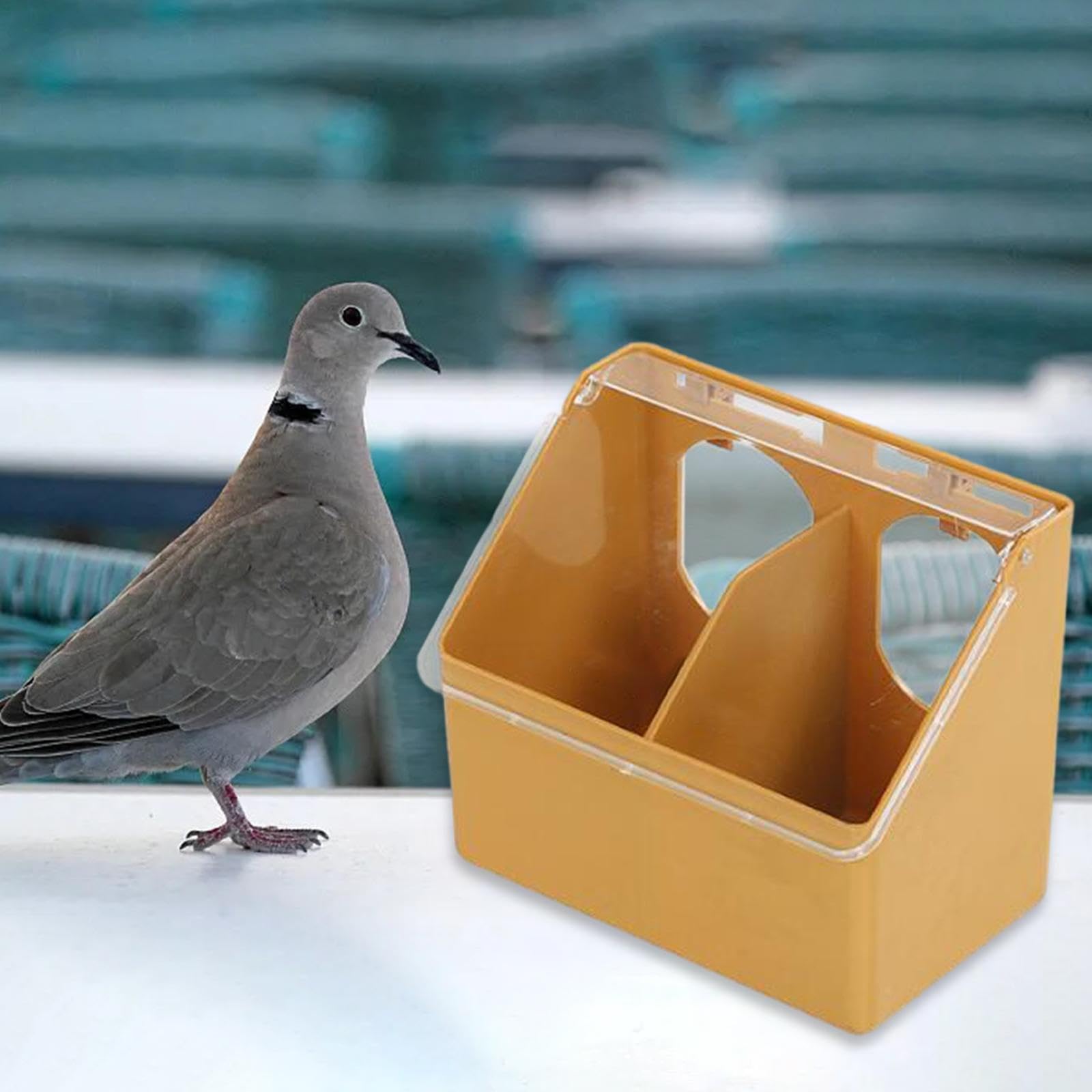 Amazon | Qianly 鳩の鳥の餌を与える鳩の巣箱用鳩の餌箱鳩ペアリング