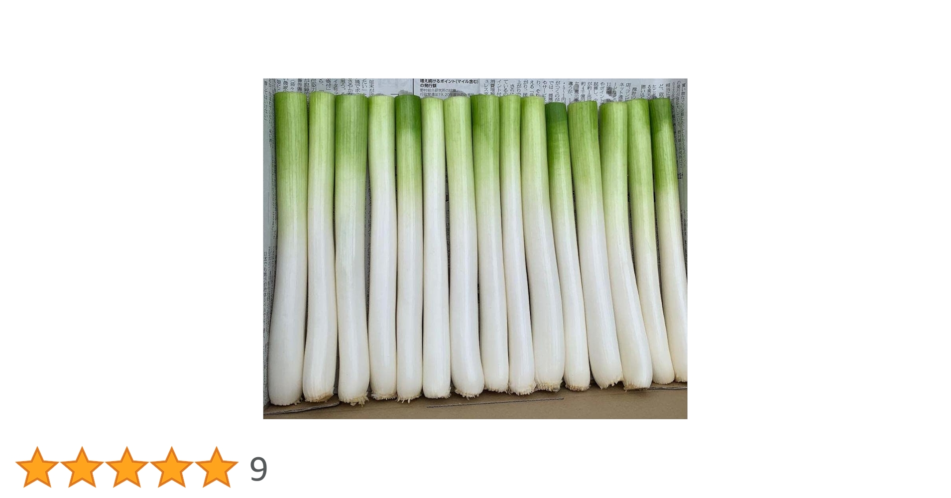 Amazon.co.jp: 成田市場 長ねぎ 千葉県産 白ねぎ（長ネギ・根深