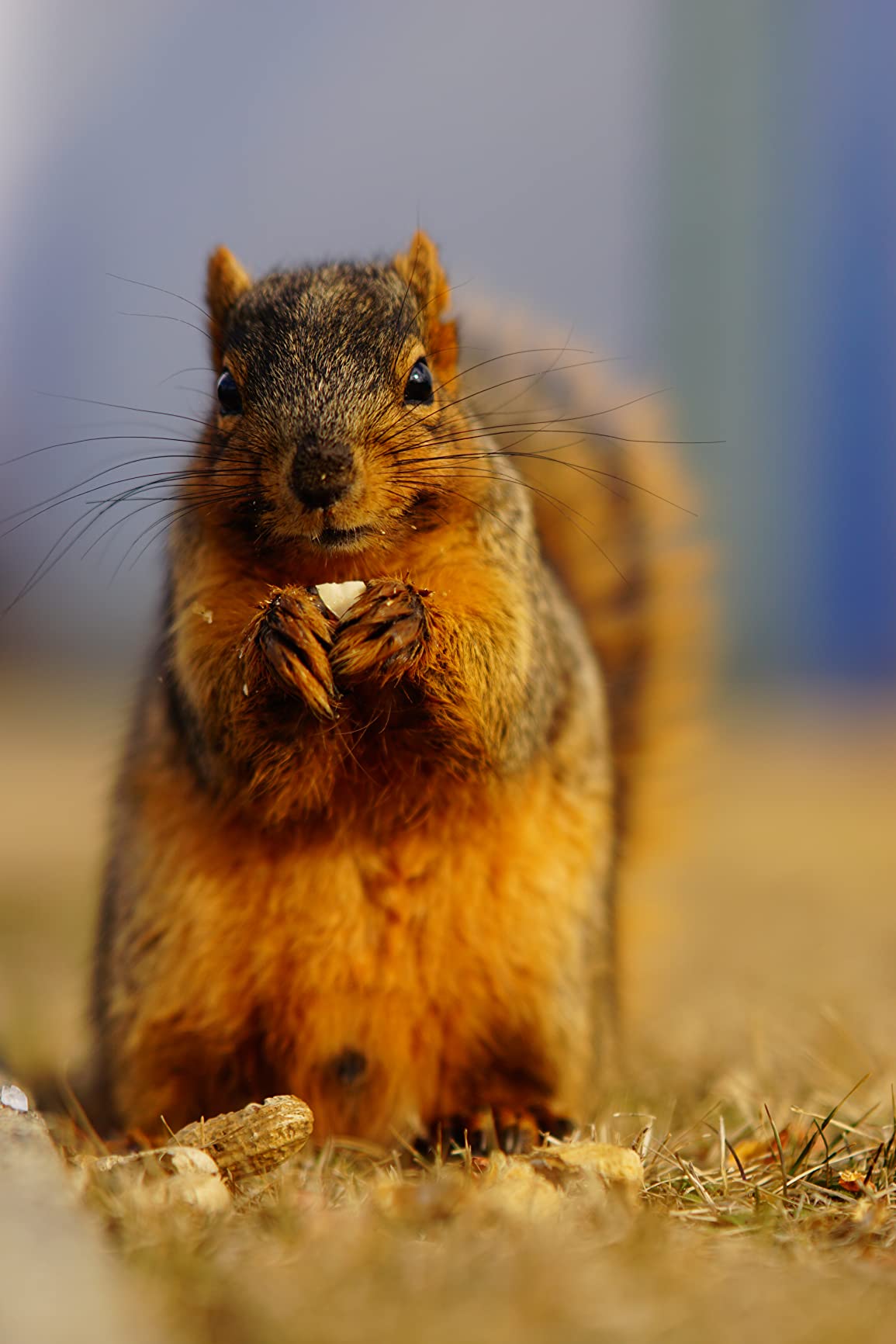 Exceeded expectations