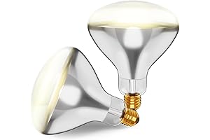 250R40/1 R40 Reflector, Incandescent Clear Heater Light Bulb, E26 Medium Base (2-Pack)
